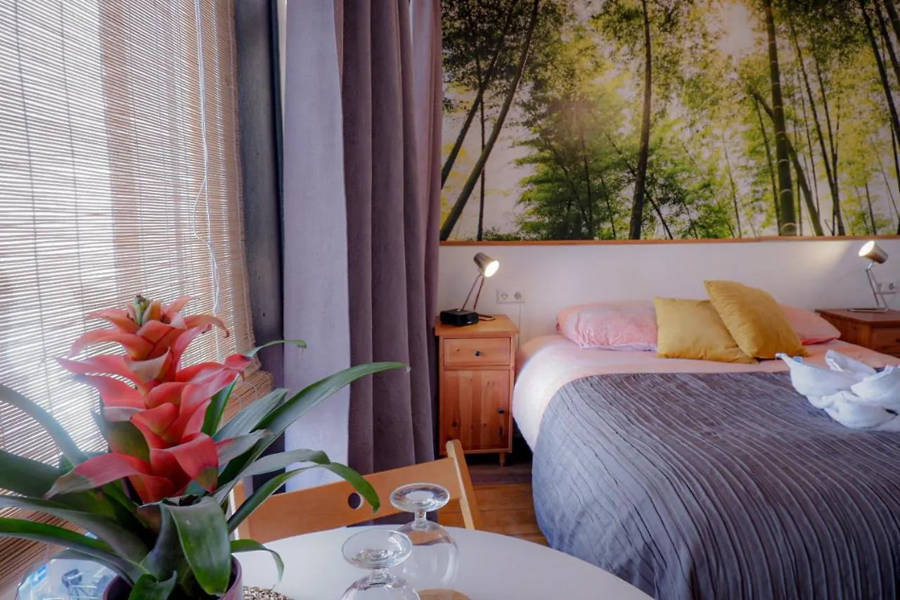 Affittacamere Lalahouse Hotel Amsterdam Paesi Bassi