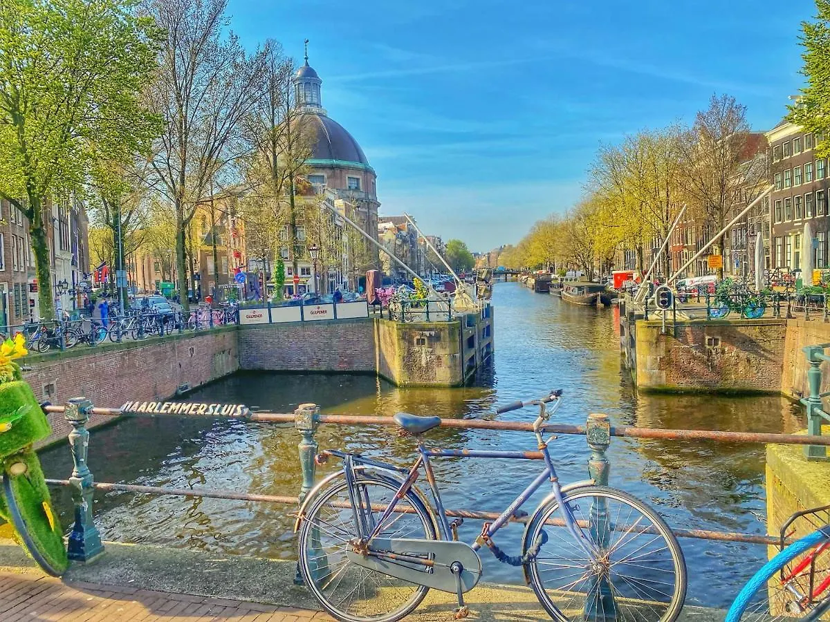 Affittacamere Lalahouse Hotel Amsterdam Paesi Bassi